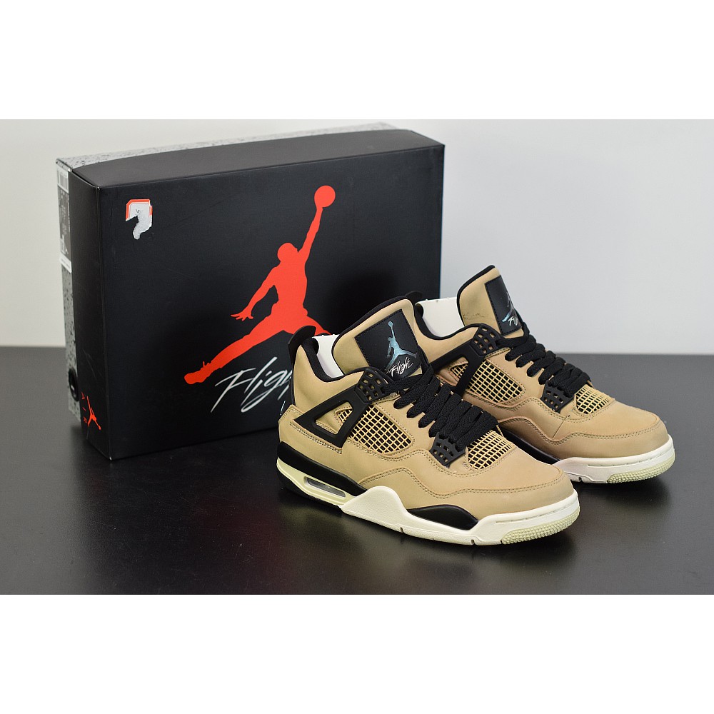 aj4 fossil
