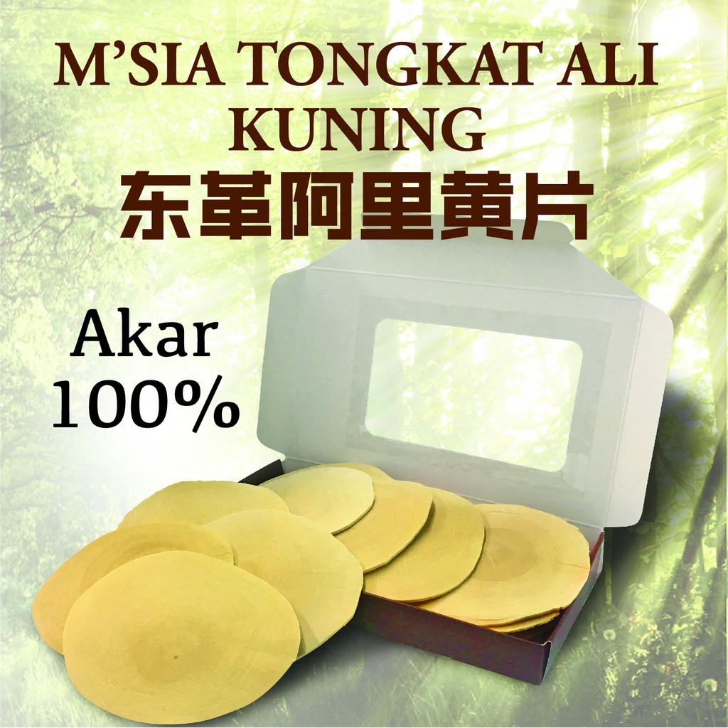 Akar Tongkat Ali Asli Kuning 🔥 Tongkat Ali Yellow Slice