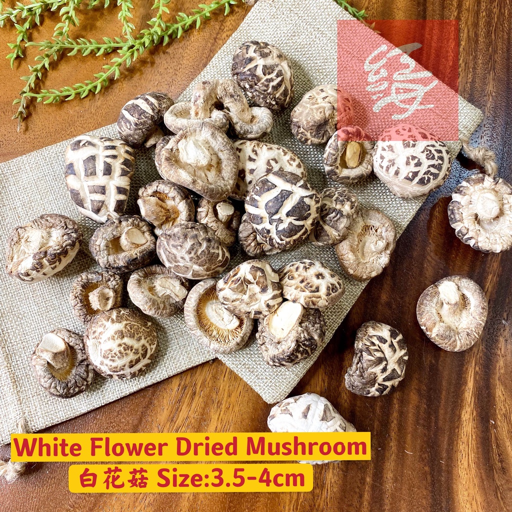 Red Sea 白花菇 White Flower Dried Mushroom Shittake