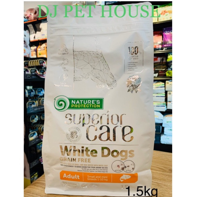 nature protection white dog
