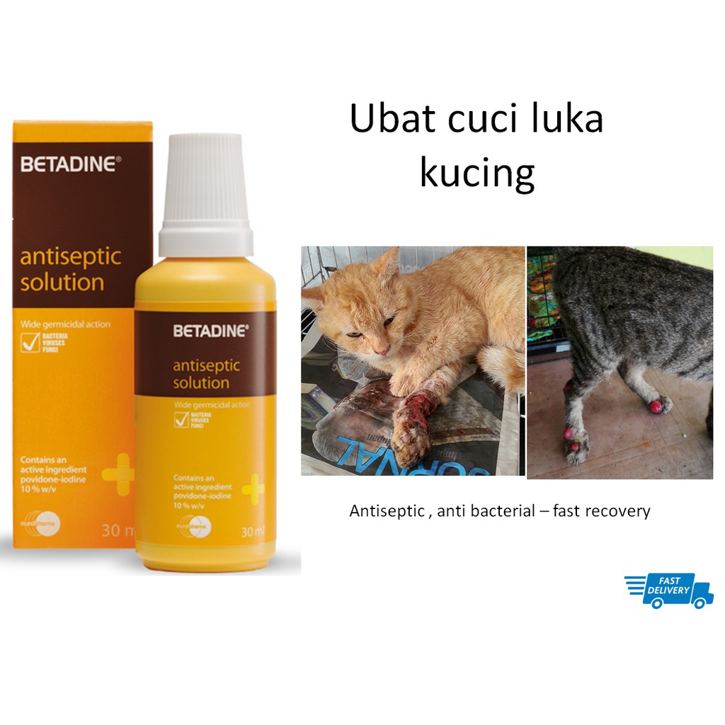 ubat cuci luka kucing..  Shopee Malaysia