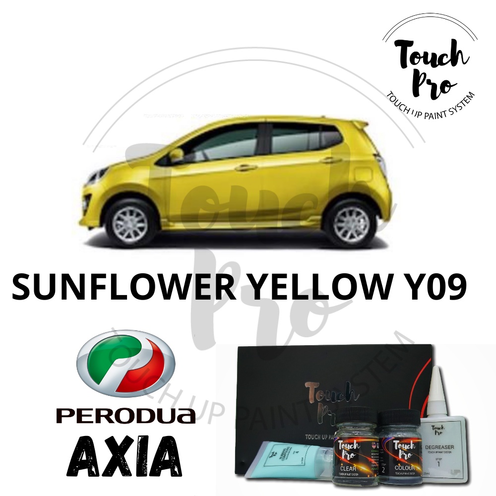 Perodua Axia Touch Up Paint Touchpro Oem Automotive Paint Touch Up Paint System Shopee Malaysia