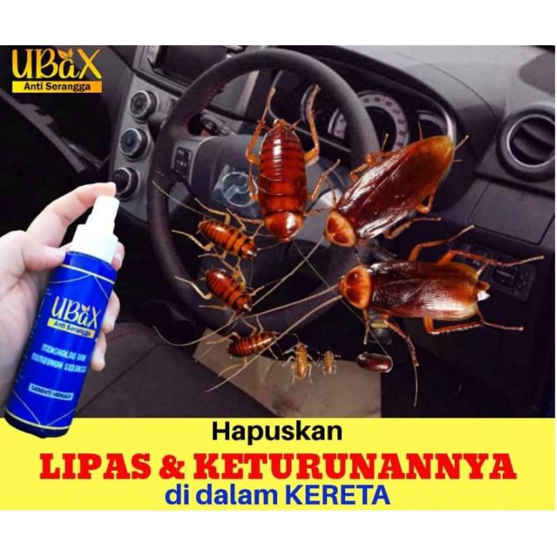 Hot Product Ubax Penghapus Keturunan Lipas Di Dalam Kereta Shopee Malaysia