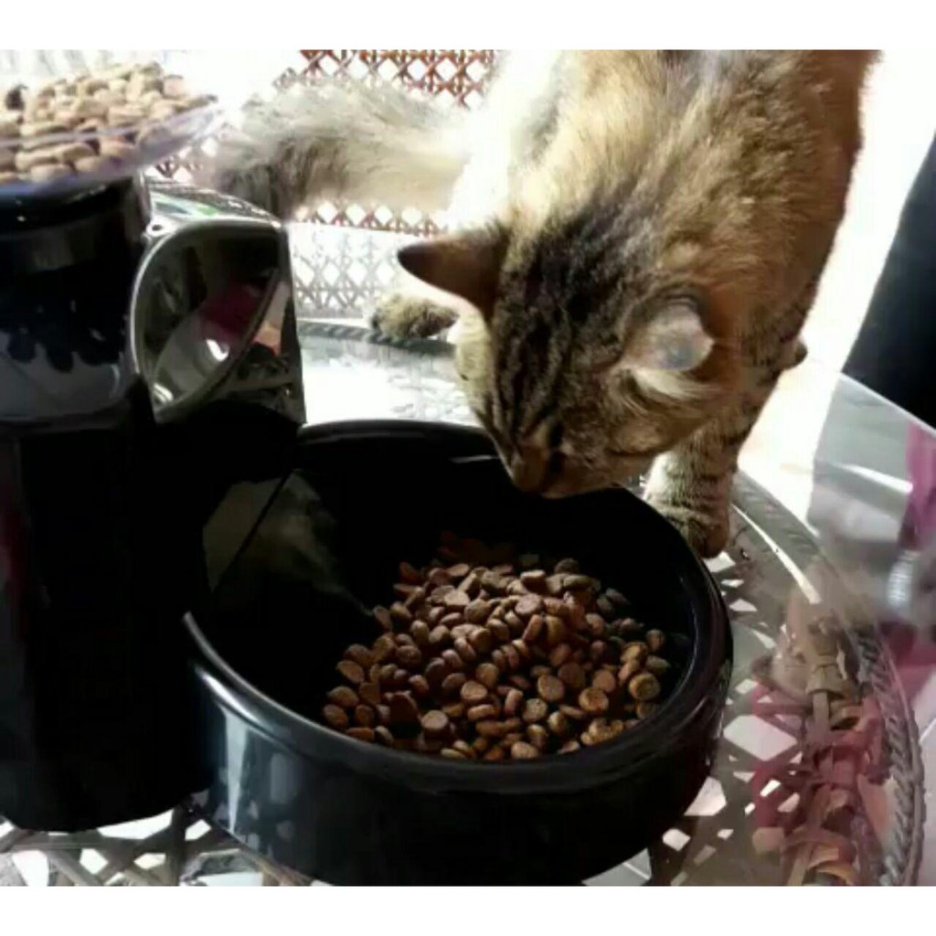 Automatic Pet Feeder Bekas Makanan Kucing Food Cat Dispenser