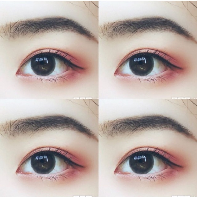 Nobly Black Softlens Black Surabaya Shopee Malaysia