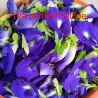 Natural home grown BLUE PEA FLOWER aka BUNGA TELANG 