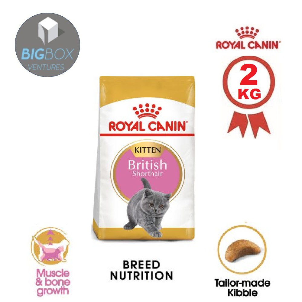 Royal Canin British Short Hair Kitten 2kg | Shopee Malaysia