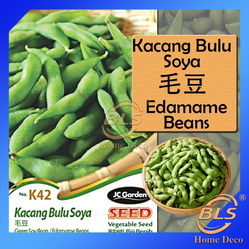 K42 Edamame Beans Green Soy Bean Jc Garden Seed Biji Bernih Kacang