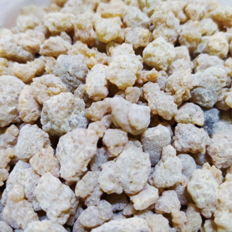 Luban Kemenyam Arab Frankincense Gum Boswellia Al Manna Arabic Gum Gum Akasia