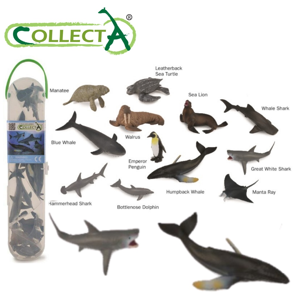 Collecta 12PCS Of Mini Sea Life Animals - Mini-Figures Collecta Model A1107  Collection Toys for boys ocean animal toy | Shopee Malaysia