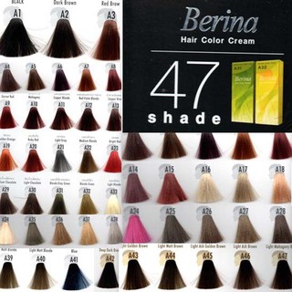 READYSTOCK MCO = Berina Hair Color Dye Highlighter Set pewarna Rambut ...