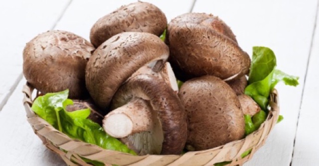 Cendawan Shitake Dalam Tin Canned Shitake Shopee Malaysia