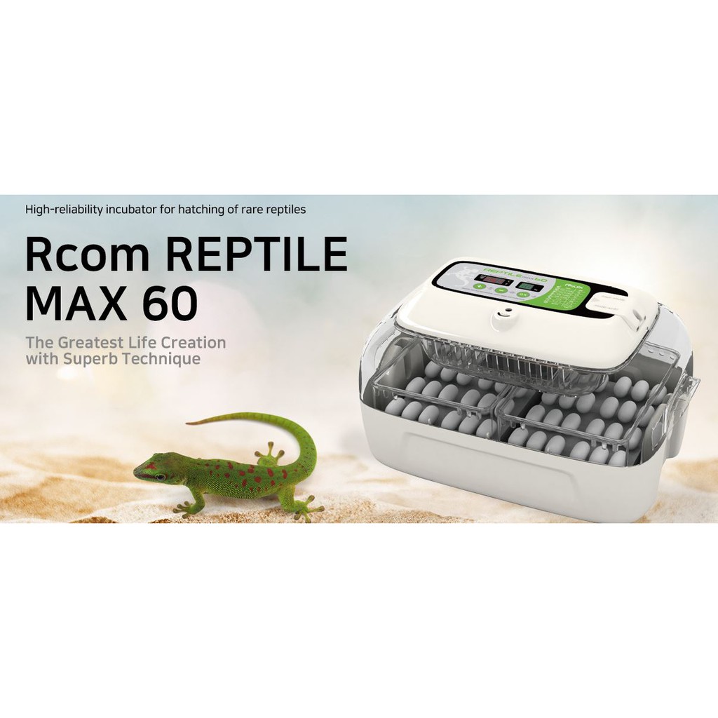 Rcom REPTILE MAX 60) | Shopee Malaysia