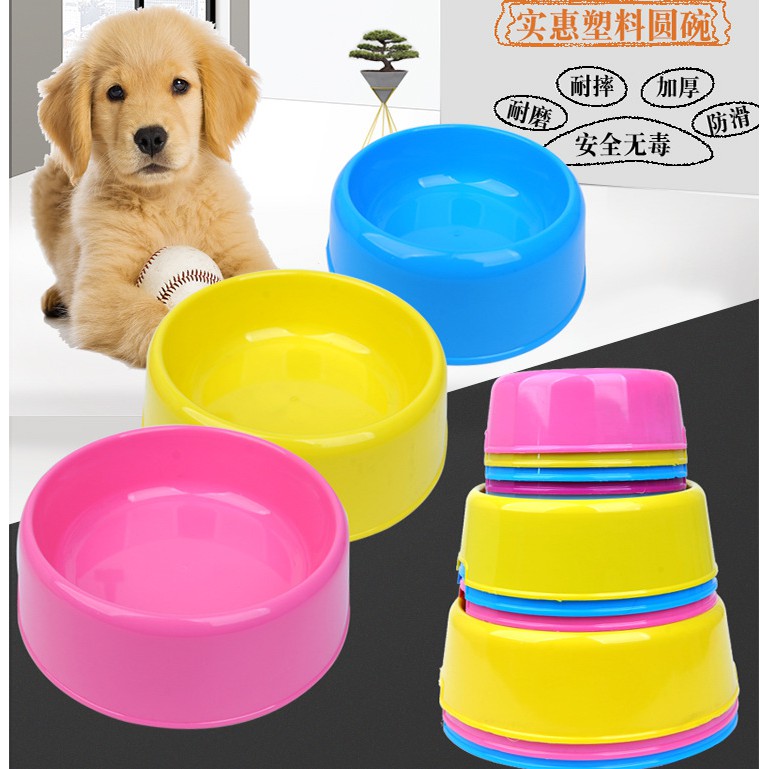 pet dog bowls