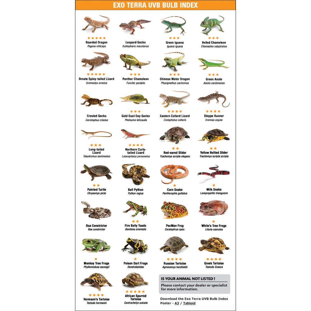 Reptile UVB Light Guide Petco atelieryuwa.ciao.jp