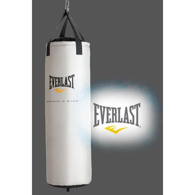 everlast muay thai bag