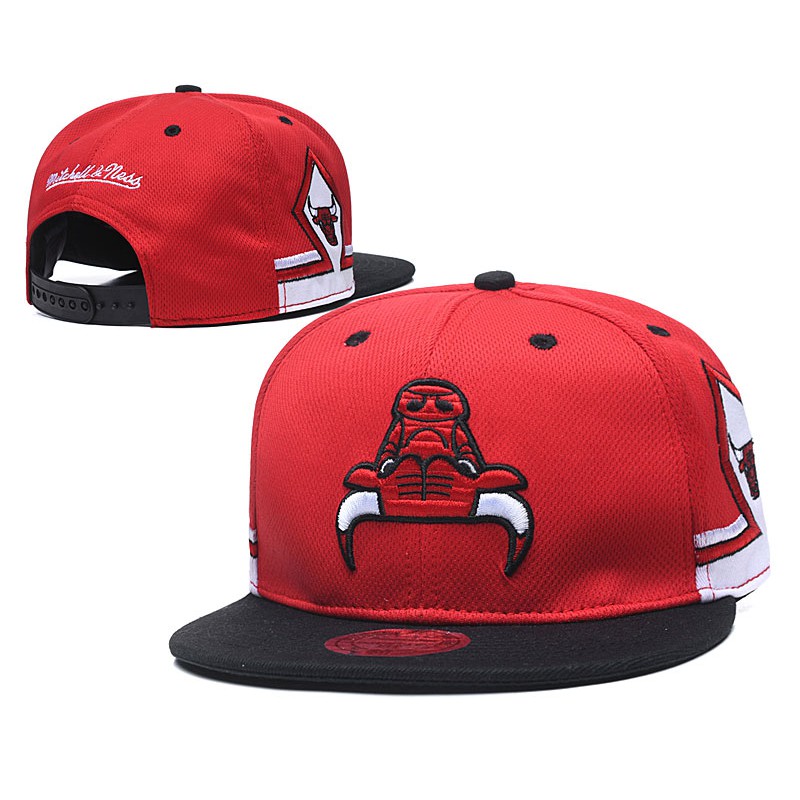 nba chicago bulls cap