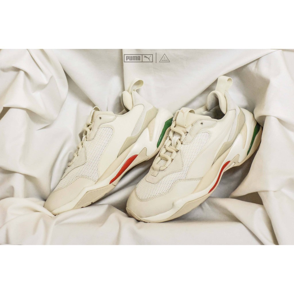 puma gucci shoes