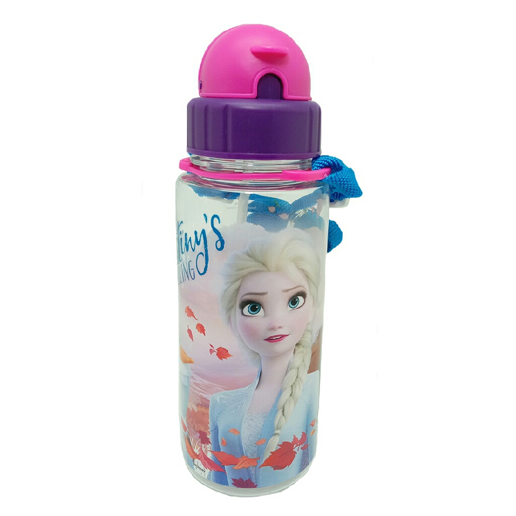 disney frozen water bottle