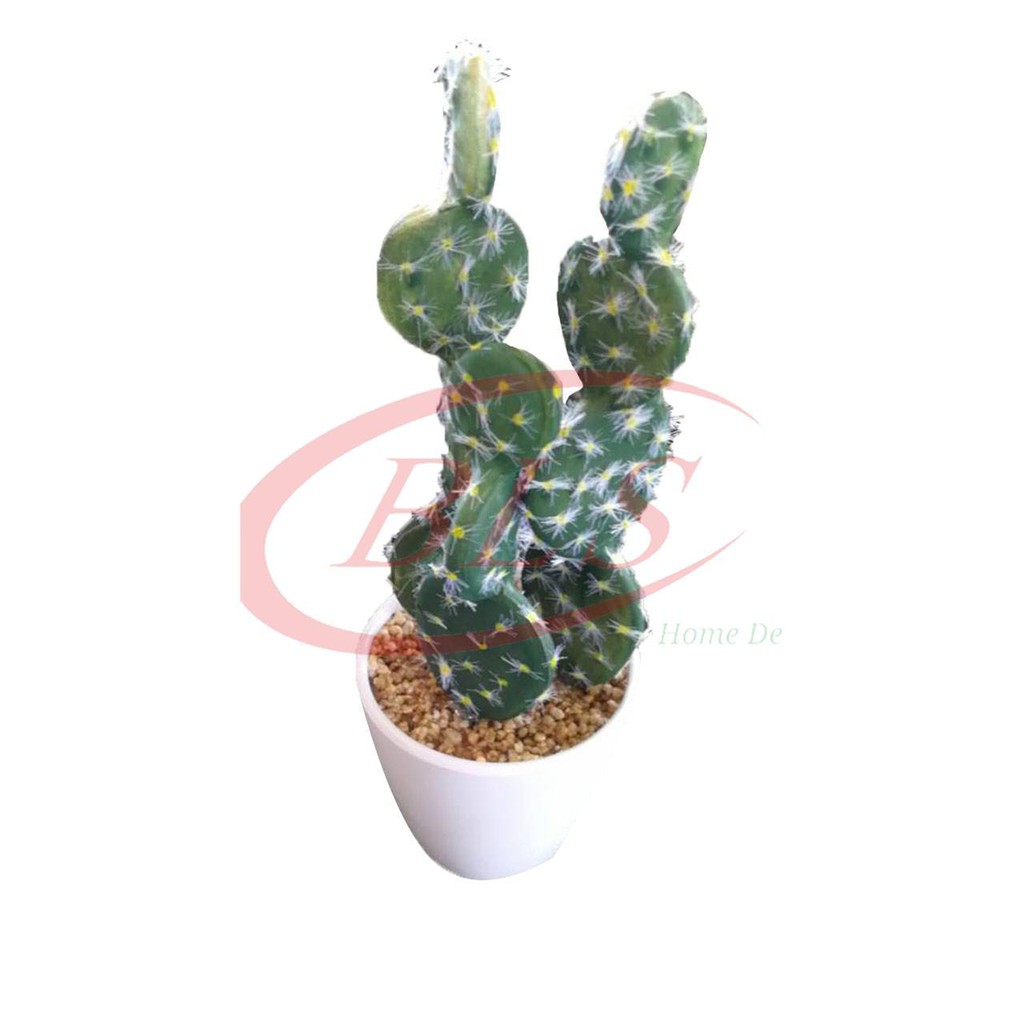 ARTIFICIAL CACTUS SUCCULENT WITH WHITE PLASTIC POT  003 