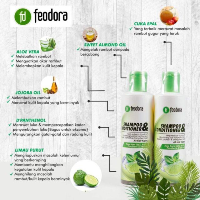 Feodora Shampoo Conditioner Hq Hentikan Rambut Gugur Mengurangkan Pertumbuhan Uban Melebatkan Rambut Shopee Malaysia