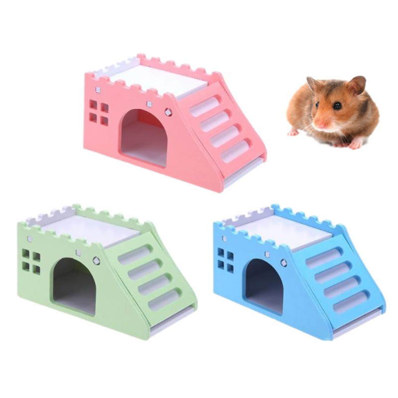 hamster in a house toy