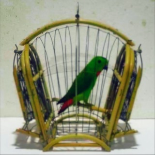 Jebak Serindit Rotan Bagi Pintu 2 Untuk Pintu Lebih Dari Dua Blh Buat Tempahan Shopee Malaysia