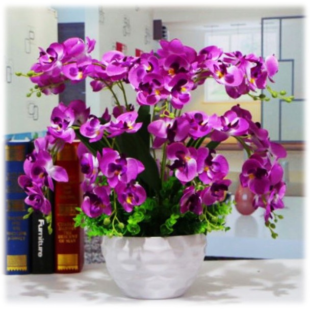 Artificial Flower Orchid Bunga Orkid Hiasan  Viral Shopee 