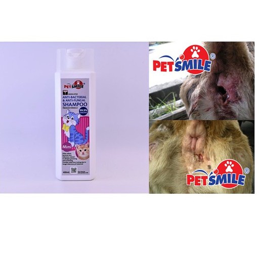 Buy Petsmile Nano Kucing Cat Shampoo Anti-bacterial anti-fungus 