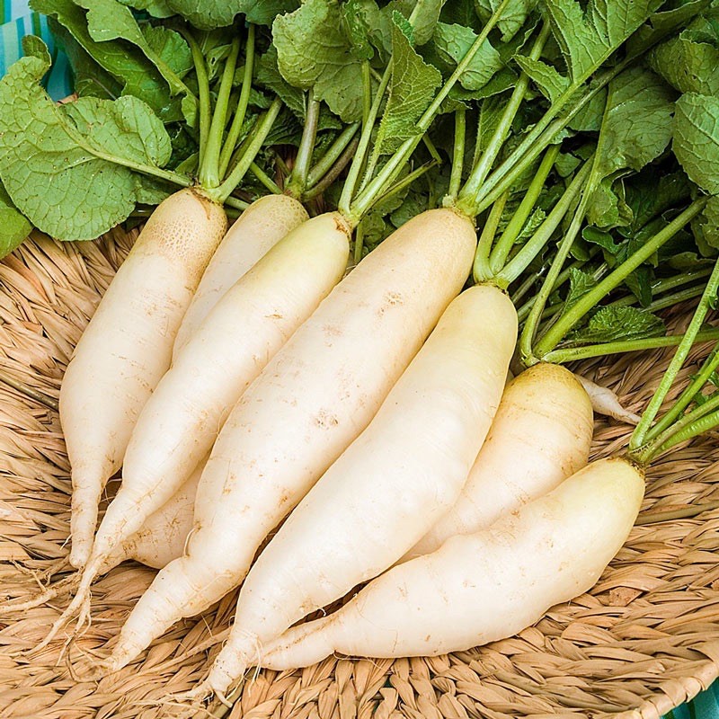 Vegetables White Raddish 350 G