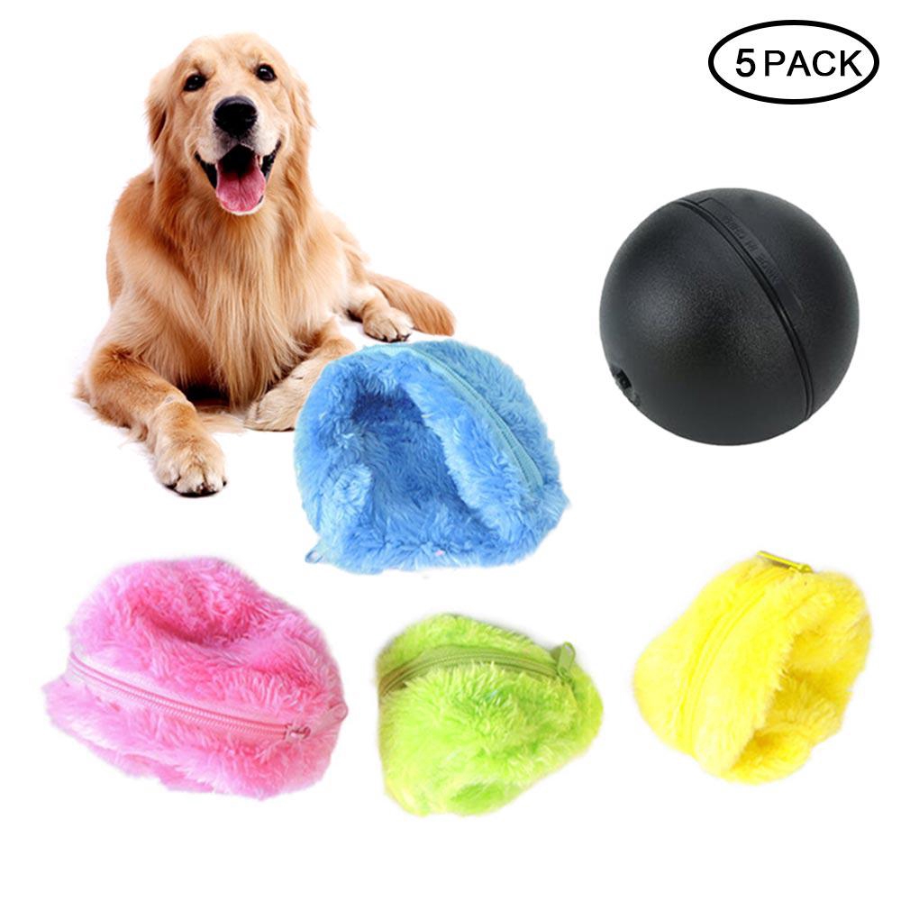 dog fetch toy