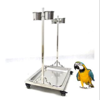 macaw stand