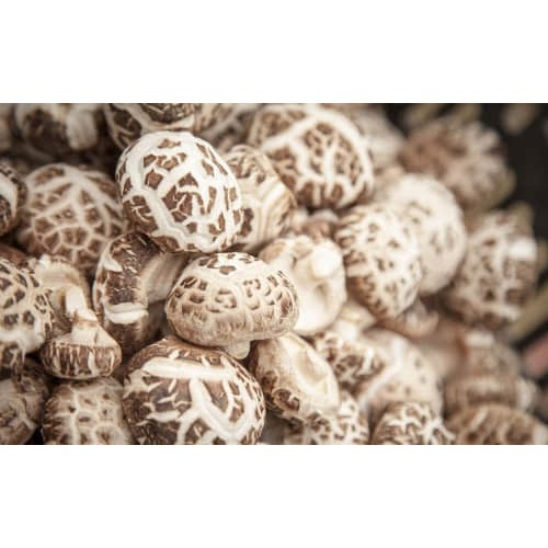 Japan Mushroom特级日本白花菇一口菇2cm 3cm Shopee Malaysia