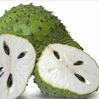 Download 8200 Gambar Durian Belanda Keren Gratis HD