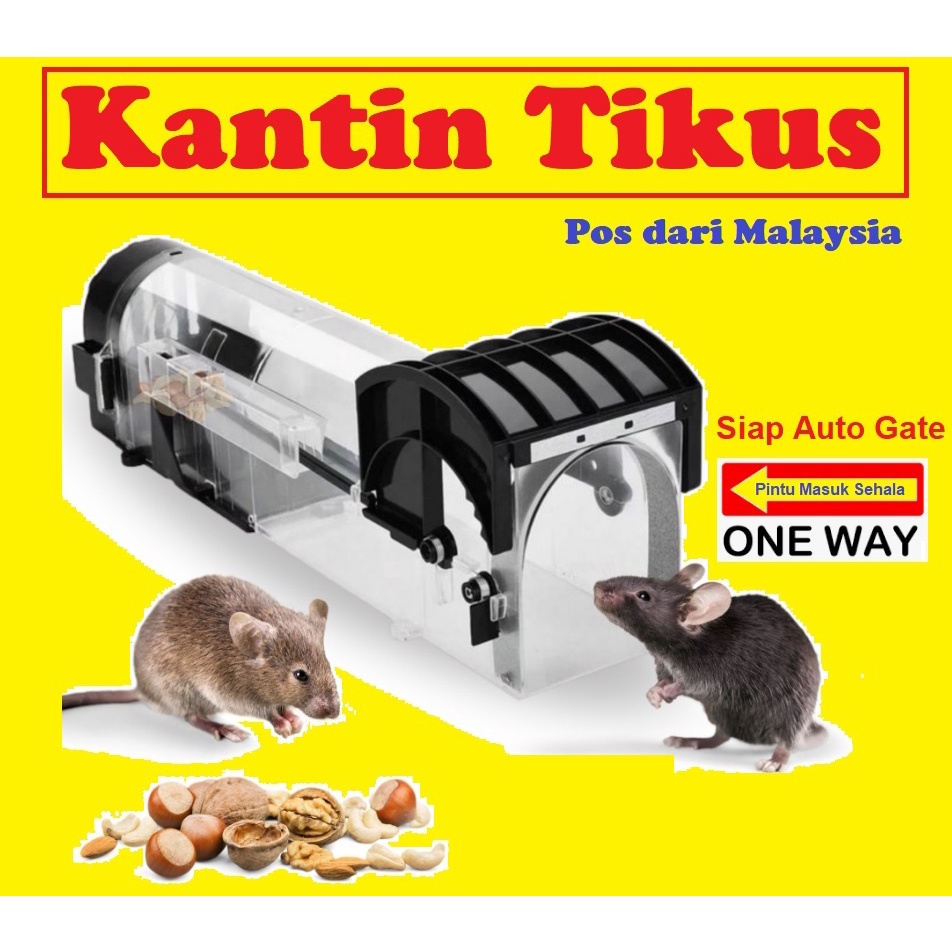 Jerat Perangkap Tikus Pembunuh Mouse Rat Mice Trap Kill Killer Auto