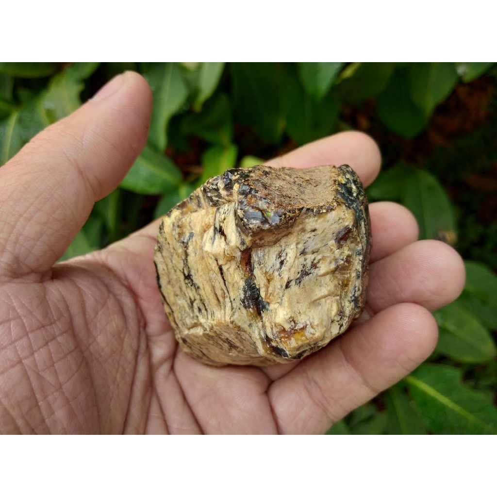 Buy 19) Natural Raw Amber / Fossil Getah Katilayu Asli Cirebon 69g 