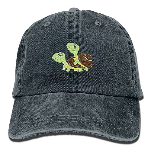 two turtles one hat