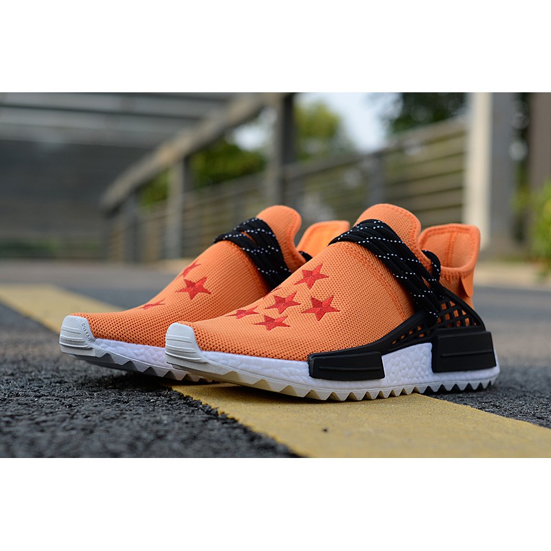 human race dragon ball