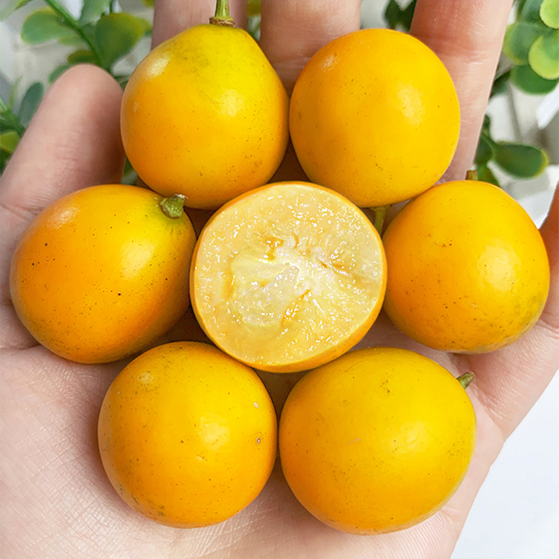 【包邮】Guangxi Rongan small kumquat 5kg of fresh fruit smooth skin crispy kumquat when the season orange whole box of fresh