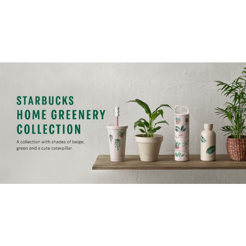 Starbucks home greenery collection Shopee Malaysia