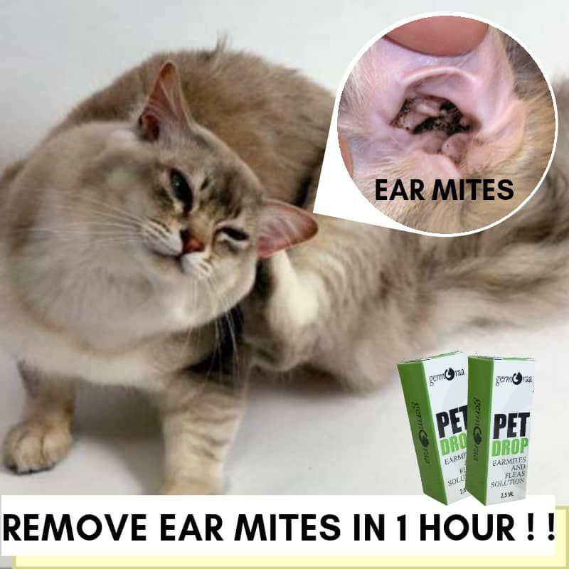 Buy Ubat Kutu Kucing dan Anjing berkesan Antifleas Earmites Cats 