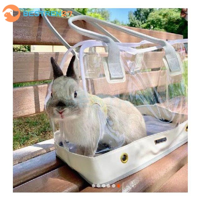 Pet Bag Carrier Transparent Pet Travel Bag Pet Travel Carrier Dwarf