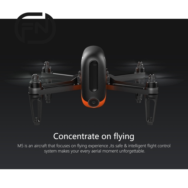 wingsland m5 brushless