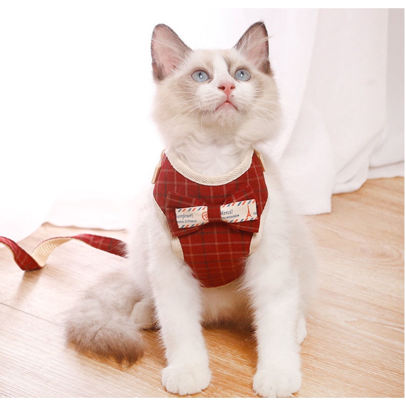 High quality dog and cat leash with bib - Meoheri Shop