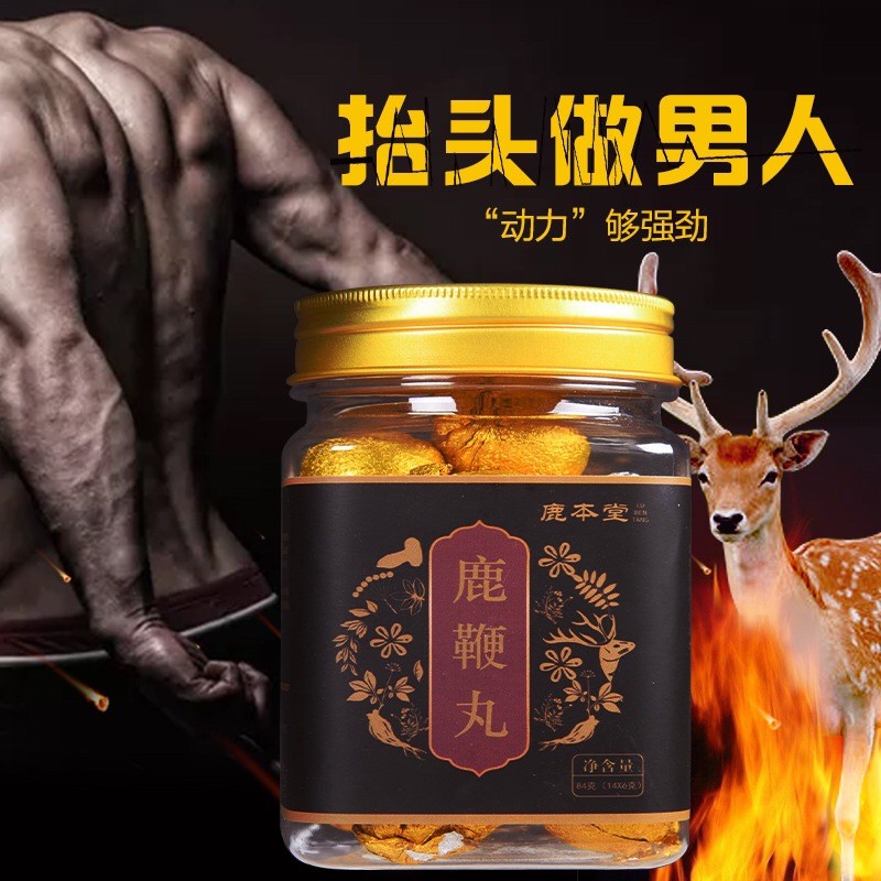 天然梅花鹿鞭 睾丸 蝦夷鹿陰茎