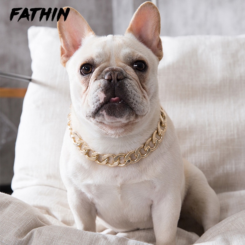 dog chain accessories