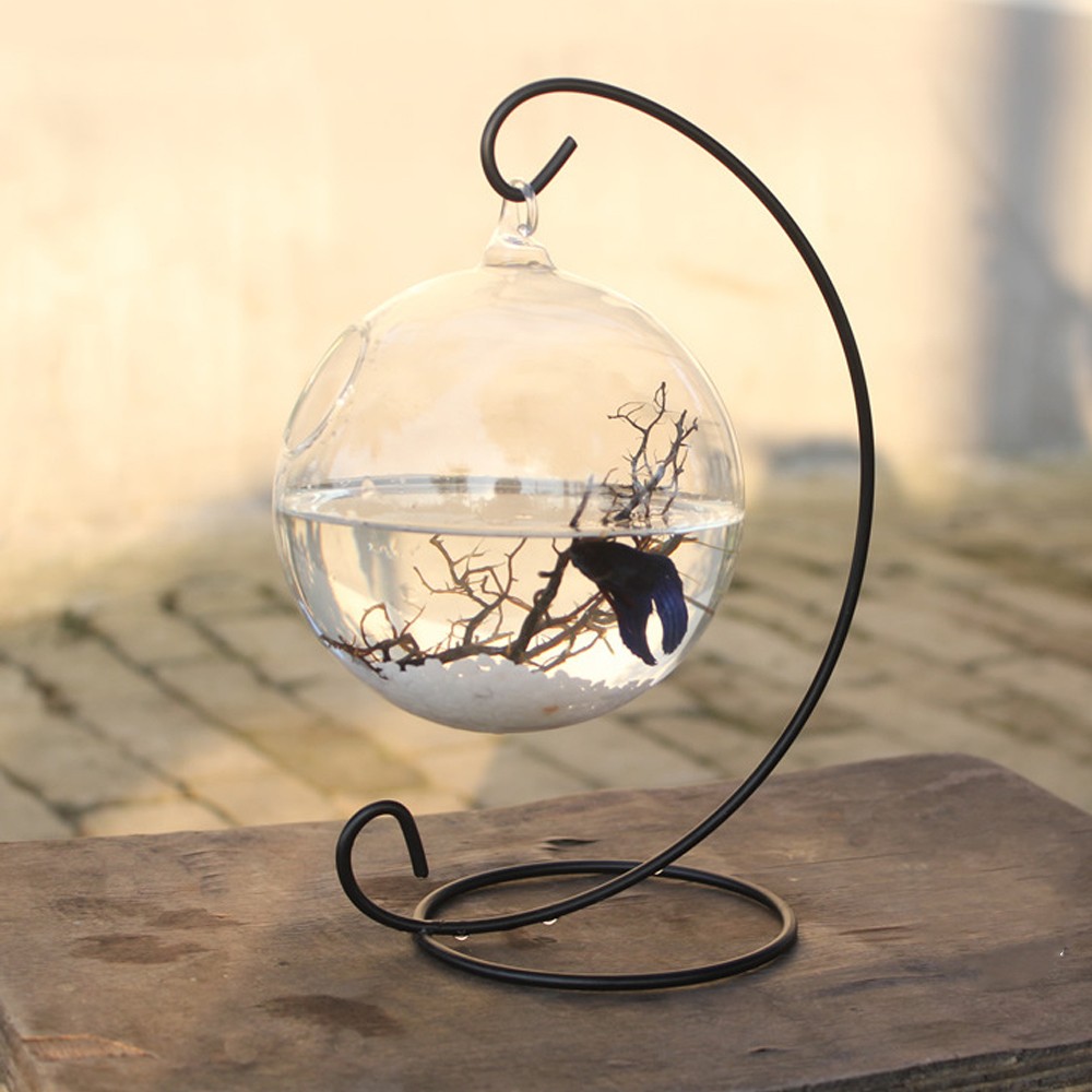 15cm Hanging Glass Fish Bowl Aquarium Tank Flower Plant Vase Home