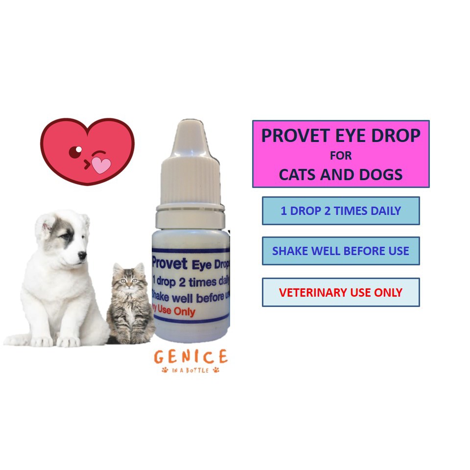 eye drop for cats