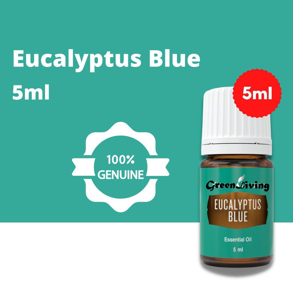 Eucalyptus Blue Essential Oil 5ml ORIGINAL YL Young Livings Essential