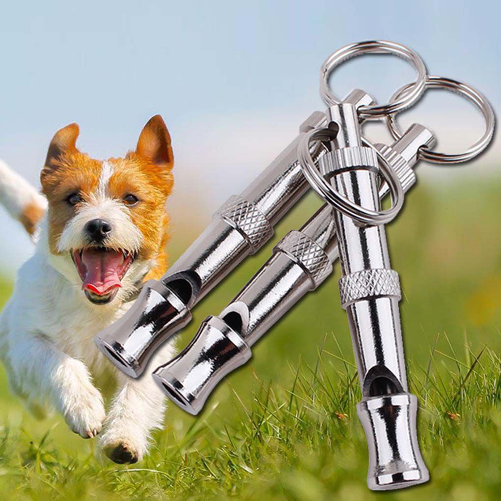 loud dog whistle